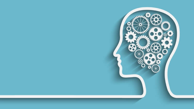 Head outline filled with gears, representing aptitude and reasoning skills