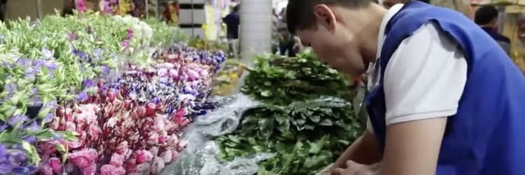 Stocker organizing produce